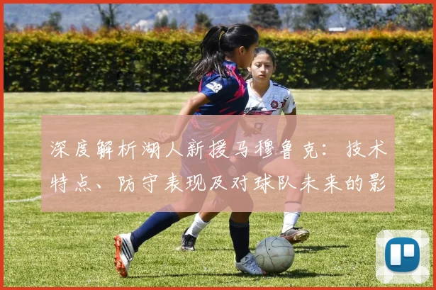 深度解析湖人新援马穆鲁克：技术特点、防守表现及对球队未来的影响