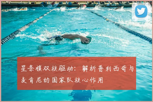 星条旗双核驱动：解析普利西奇与麦肯尼的国家队核心作用