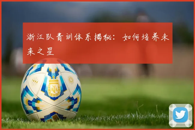 浙江队青训体系揭秘：如何培养未来之星