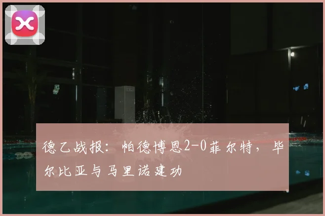 德乙战报：帕德博恩2-0菲尔特，毕尔比亚与马里诺建功